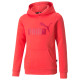 Puma Παιδικό φούτερ Logo Hoodie